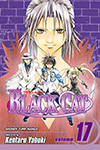 Black Cat - Volume 17