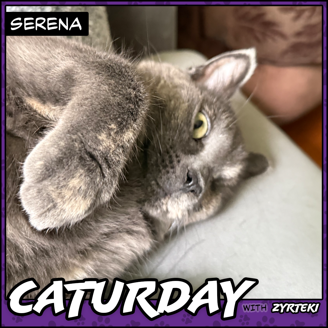 Caturday Pic