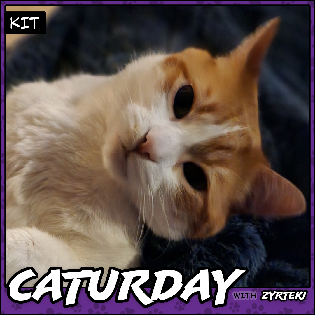 Caturday Pic
