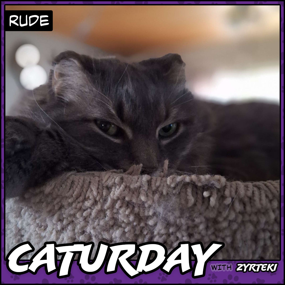 Caturday Pic