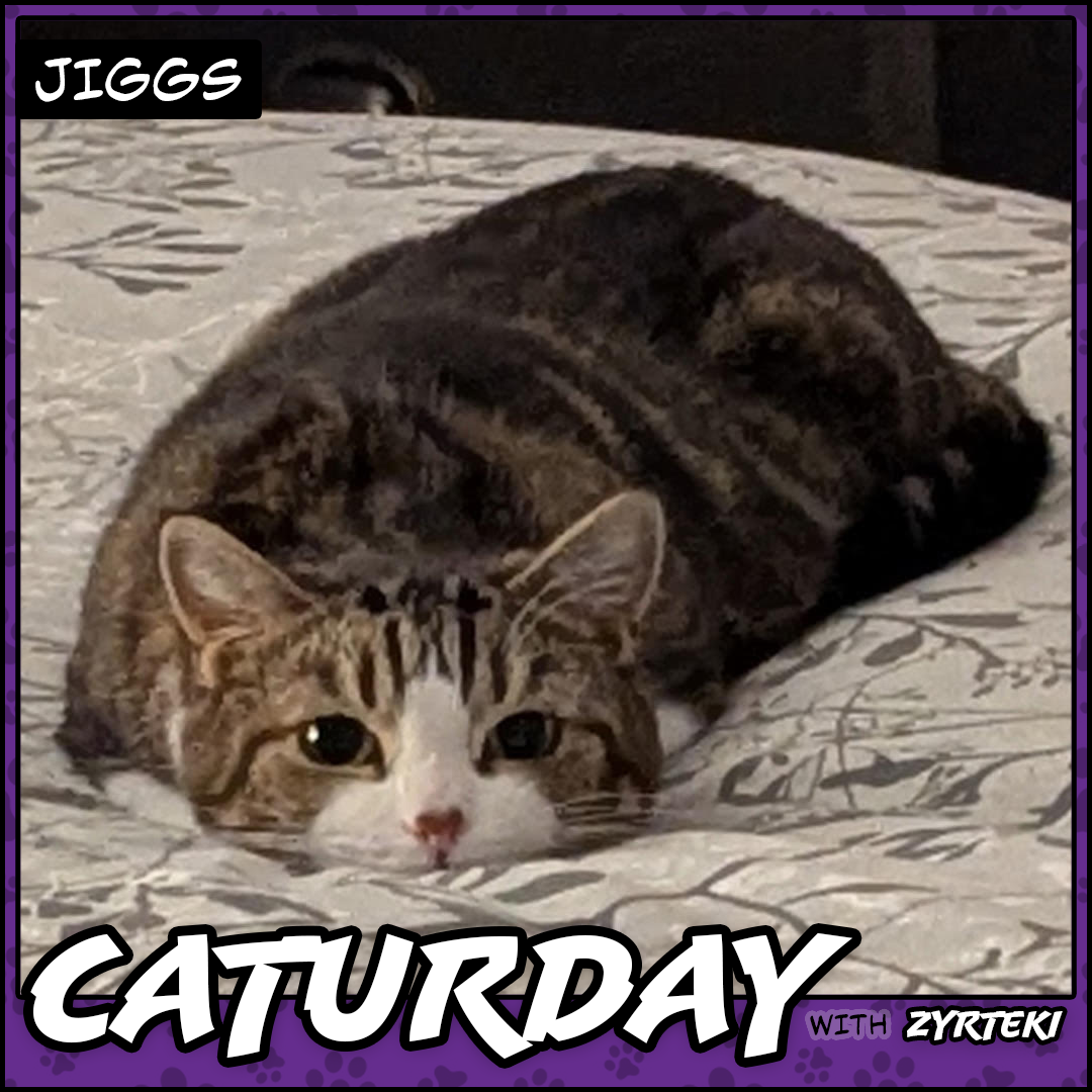 Current Caturday Pic