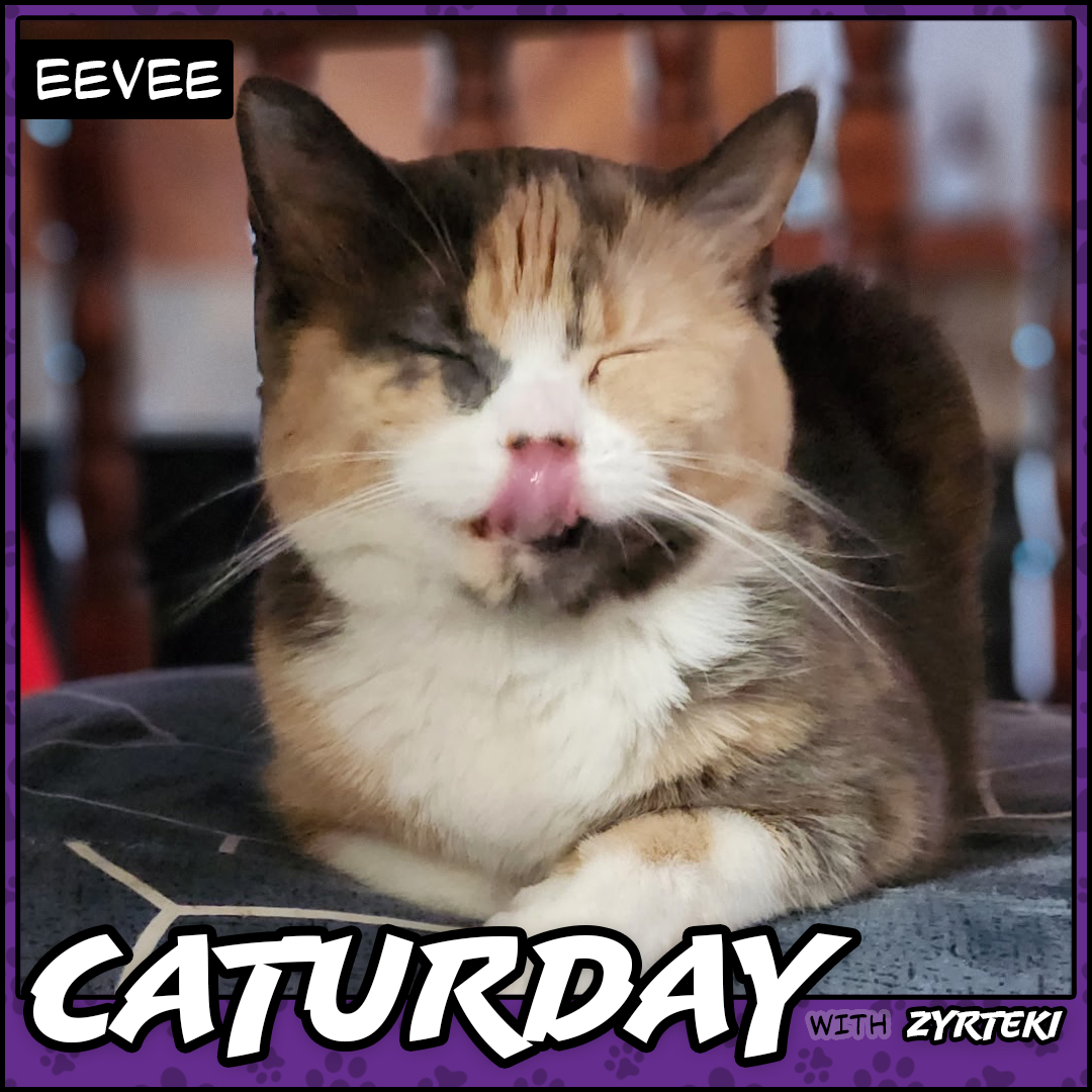 Current Caturday Pic