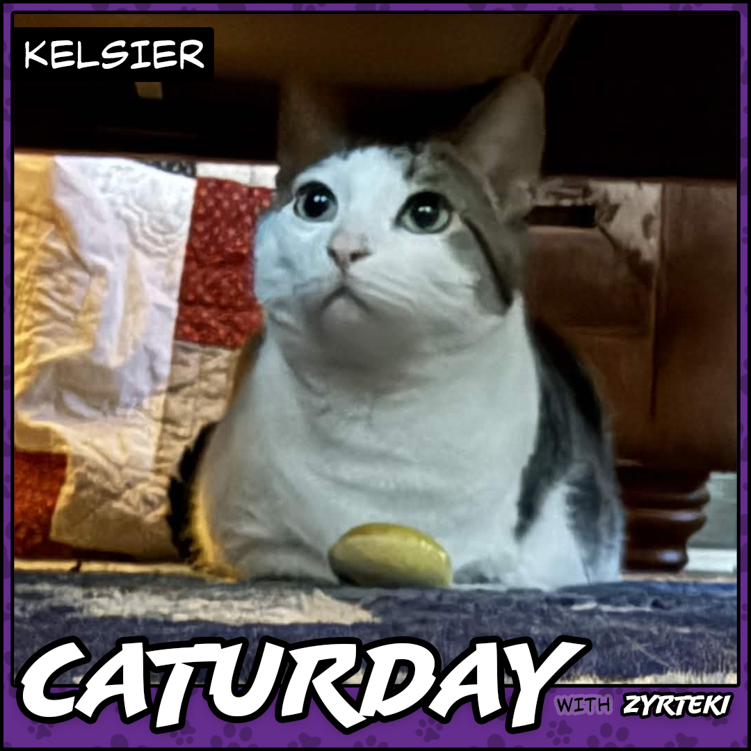 Current Caturday Pic