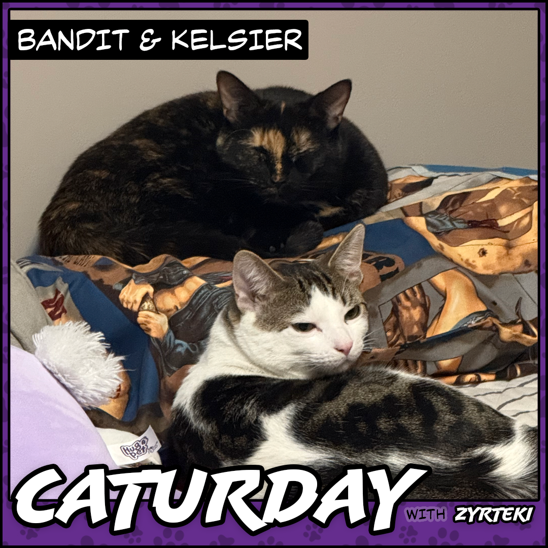 Current Caturday Pic