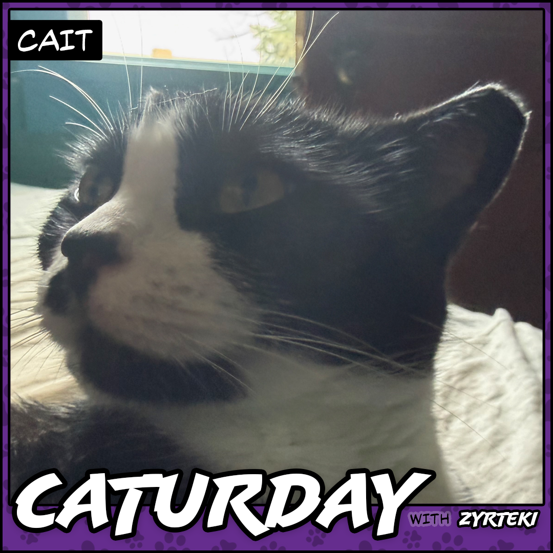 Current Caturday Pic
